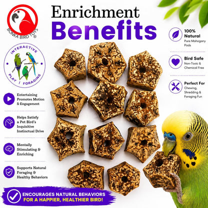 Natural Mahogany Bird Chew Pods – 12 Pack Wooden Foot Toys & DIY Bird Toy Making Parts for Parrots, Cockatiels & Conures