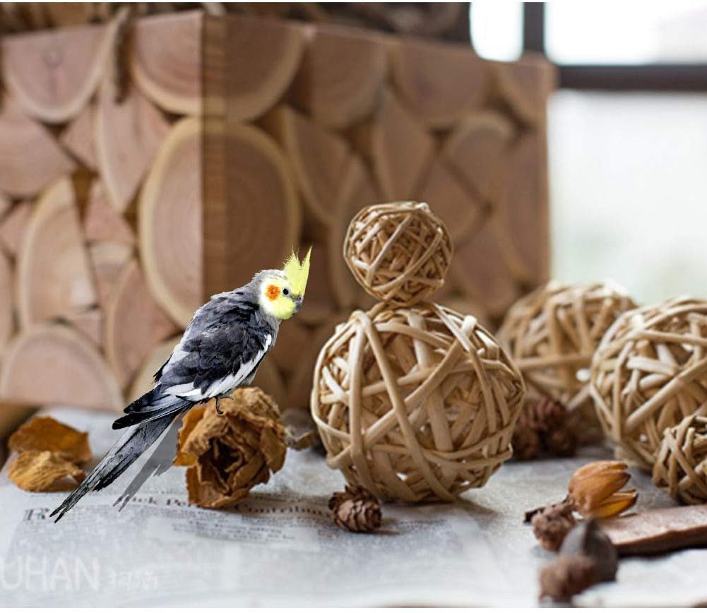 Natural Rattan Bird Foraging Balls – 10 Pack Hand-Woven Cane Chew Toys for Parrots, Budgies, Conures & Small Pets