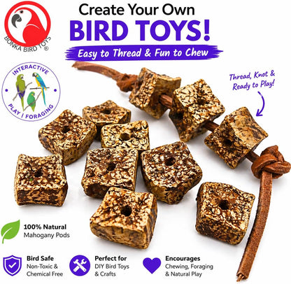 Natural Mahogany Bird Chew Pods – 12 Pack Wooden Foot Toys & DIY Bird Toy Making Parts for Parrots, Cockatiels & Conures
