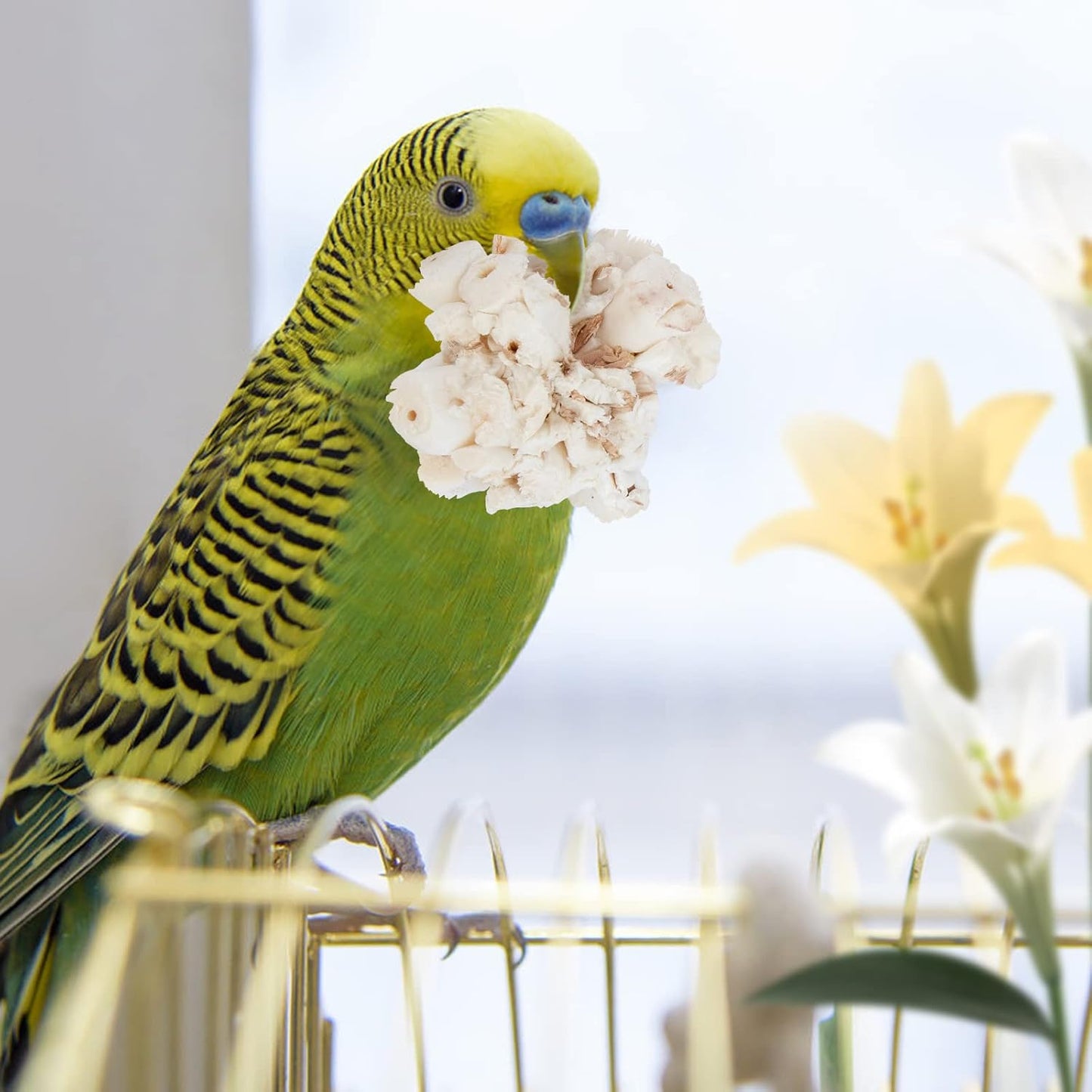 Sola Ball Bird Toy – Natural Shredding & Foraging Enrichment for Parrots - Build Your Own Toy