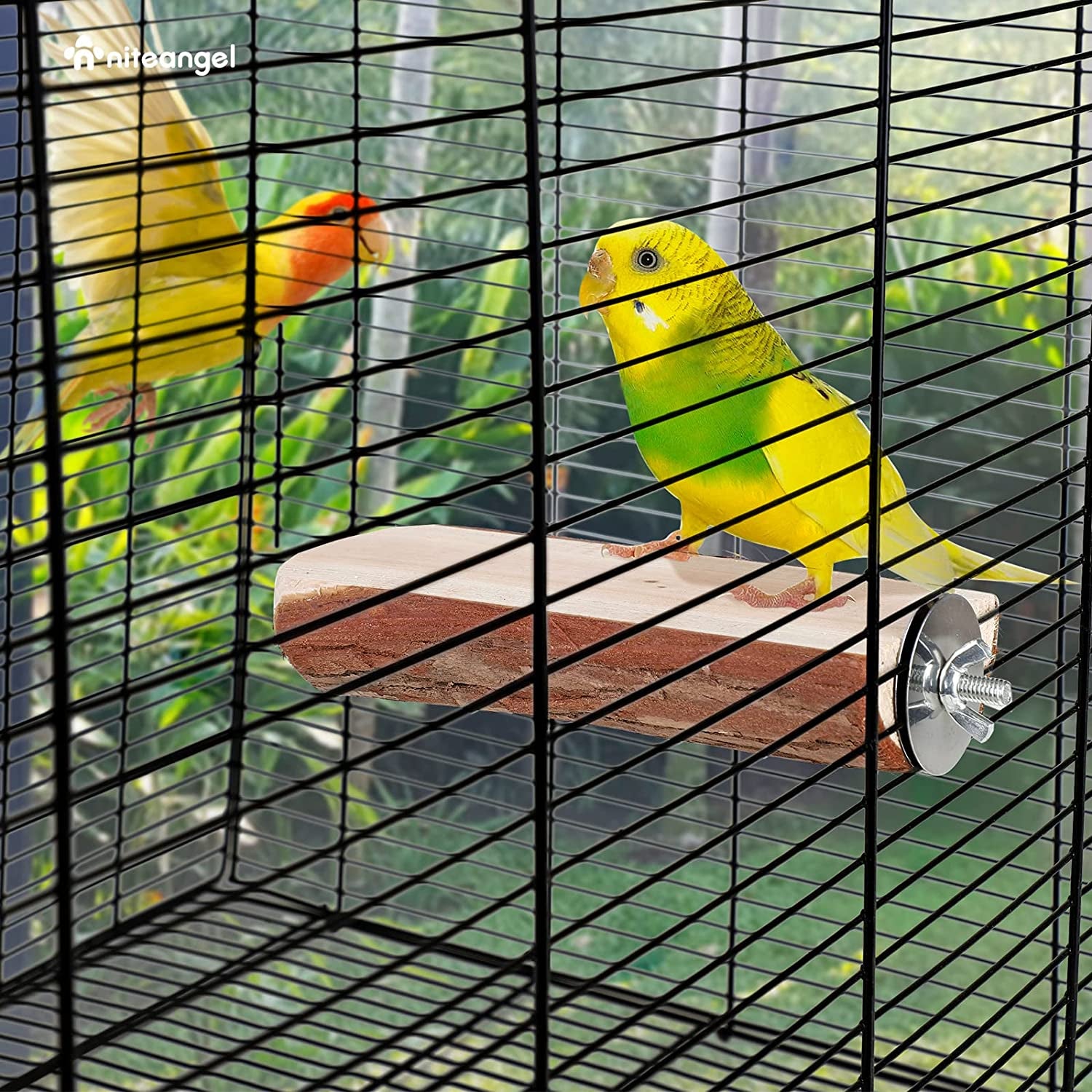 Wooden Bird Perch Platform Set (2 Pack) for Parrot Cages
